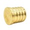 Thrifco Plumbing 1/2" Brass Plug Lead Free F1807 - (PEX B) 7910202 - alternate 3