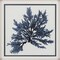 Homeroots 22" X 22" Silver Frame Coastal Seaweed, Set Of 3, 3PK 365754 - alternate 2