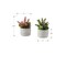 Monarch Specialties Artificial Plant, 9-in. Tall, Succulent, Table, Grey Cement Pots, Contemporary, Modern, 2PK I 9366 - alternate 2