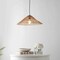 Jonathan Y Connie 20.25" 1-Light Farmhouse Coastal Rattan 180" Cord Plug-In or Hardwired LED Pendant, Brown JYL1407A - alternate 3