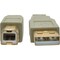 Tripp Lite USB 2.0 Hi-Speed A/B Cable M/M 28/24 AWG 480 Mbps Beige 10FT 10ft U022-010-BE - alternate 3