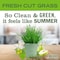 Mrs. Meyers Clean Day Fresh Cut Grass Scent Air Freshener Spray 8 oz Liquid 1 pk 12130 - alternate 2
