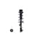 Fcs Struts Suspension Strut And Coil Spring Assembly 1333711R - alternate 1