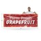 Signmission Farm Fresh Grapefruit, 48 Inch x 120 Inch, Vinyl Banner B-120-30593 - alternate 3