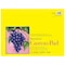 Strathmore 300 Series Canvas Pad, Tape Binding, 10 Sheet, 12x16 inch, 2PK P315-12 - alternate 3