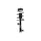 Fcs Struts Suspension Strut And Coil Spring Assembly 1333390R - alternate 1