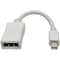 Tripp Lite 6IN MINI DISPLAYPORT TO DISPLAYPORT ADAPTER CONVERTER 4Kat 60HZ 6 P139-06N-DP-V2B - alternate 1