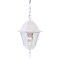 Homeroots Distressed White Beveled Glass Outdoor Hanging Light 397994 - alternate 1