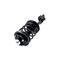 Fcs Struts Suspension Strut And Coil Spring Assembly 3331595L - alternate 2