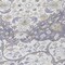 Homeroots 8' Lavender And Ivory Round Medallion Washable Indoor Outdoor Area Rug 617463 - alternate 5