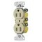 Hubbell Wiring Device-Kellems Straight Blade Receptacle, 5-15R, 15 A, 125V AC, 2 Pole, 3 Wire, Surface Mount, Grounded DR15STITR - alternate 2