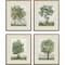 Homeroots Set Of Four Countryside Growth Gold Framed Print Wall Art, 4PK 525978 - alternate 3