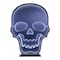 Celebrations Halloween White 23 in. LED Prelit Skull Infinity Halloween Decor 22-09010A - alternate 1