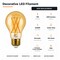 Euri Lighting A19 LED Filament Bulb, 7W, 600 lm, 60W Eq., 2200K, E26, Dimmable, Amber Glass, UL VA19-3020ea - alternate 3