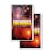 Signmission Fireworks1, Vinyl Decals Only 24 Inch x 36 Inch, Vinyl Decal, 2PK DSB-2436-2PACK-Fireworks1 - alternate 1