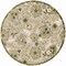 Homeroots 5' Ivory Green Dark Green And Yellow Round Floral Indoor Outdoor Area Rug 548142 - alternate 3