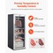 Vevor 232LBS Dry Aging Fridge for Steaks Dry Ager Refrigerator for Meat for Home ZS-A200N - alternate 2