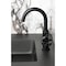 Kingston Brass One-Handle Single-Hole Bathroom Faucet with Deck Plate and Push Pop-Up Drain, Matte Black KSD2210RX - alternate 2