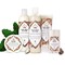 Nubian Heritage Infused Raw Shea Butter, 4 Ounce, 12PK 67612750 - alternate 2