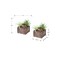 Monarch Specialties Artificial Plant, 10-in. Tall, Succulent, Table, Brown Wooden Pots, Contemporary, Modern, 2PK I 9371 - alternate 3