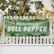 Signmission Farm Fresh Bell Pepper, 24 Inch x 72 Inch, Vinyl Banner B-72-30578 - alternate 4