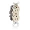 Leviton Straight Blade Receptacle, 5-15R, 15 A, 125V AC, Surface Mount, Isolated Ground M8200-IGT - alternate 1