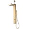 Anzzi Dion Series 39 in. 2-Jetted Shower Tower with Heavy Rain Shower and Body Jets SP-AZ082BG - alternate 1