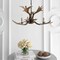 Jonathan Y Speller 27" Adjustable Resin Antler 3-Light LED Chandelier, Brown JYL6303A - alternate 6