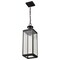Nuvo Luca, Hanging Pendant, Sand Black Finish, Clear Beveled Glass 60/8514 - alternate 3
