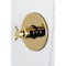 Kingston Brass Single-Handle Pressure Balanced Tub and Shower Faucet, Polished Brass KB6332DX - alternate 2