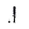 Fcs Struts Suspension Strut And Coil Spring Assembly 1333751R - alternate 1