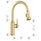 Blanco Empressa Pull-Down 1.5 GPM, Satin Gold 442980 - alternate 4