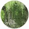 Homeroots 8' Green And Lime Green Round Abstract Washable Indoor Outdoor Area Rug 577243 - alternate 4