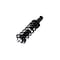Fcs Struts Suspension Strut And Coil Spring Assembly 1345681 - alternate 4