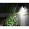 Beyond Led Technology LED Flood Light, 80W, 10880 Lumns, Adj CCT3000K-4000K-5000K, U Shaped Bracket, Bronze Hou BLT-FL06E-80WBH8DA1-BRFM30/40/50 - alternate 5