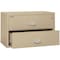Fireking 38-15/16" W 2 Drawer Fire-Resistant Lateral File Cabinet, Parchment, Letter/Legal 2-4422-CPA - alternate 3