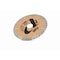 Pearl Abrasive Cut-Off Wheel, Dry, 5 in Dia, 7/8 in Arbor Hole Size, 30 Grit DCWRED05AH - alternate 2