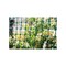 Tenax Fence 2 ft. H X 25 ft. L Polyethylene Garden Green Green 2A140089 - alternate 2