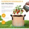 Ipower Grow Bag, 1-gallon, Tan, 300G, 5PK GLGROWBAG1X5TAN - alternate 3