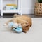 Smartykat Spout N Spin Electronic Motion Whale Cat Toy 32199-99997-012 - alternate 4