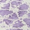 Homeroots 8' Lilac And Ivory Round Abstract Washable Indoor Outdoor Area Rug 614175 - alternate 4