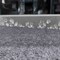 Floortex Cleartex TrYlok Vinyl Rectangular Chair Mat for Low Pile Carpets up to 1/4in. - 46in. x 59in. NRCMFLVT0006 - alternate 4