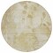 Homeroots 8' Beige Tan And Ivory Round Floral Washable Indoor Outdoor Area Rug 588530 - alternate 3