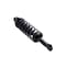 Fcs Struts Suspension Strut And Coil Spring Assembly 1345934 - alternate 2