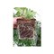 Cowpots Plant Pot Seed Starter 3.75in H X 4in W X 2.5in L Brown 102 - alternate 4
