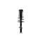 Fcs Struts Suspension Strut And Coil Spring Assembly 1333471R - alternate 1