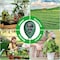 Ipower Soil Meter, 3-in-1 Plant Moisture Light PH Tester for Gardening, Farming, Indoor and Outdoor LGTESTSOILV3 - alternate 2