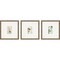 Homeroots Set Of Three Antique Botanical Gold Framed Print Wall Art, 3PK 525894 - alternate 1