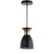 Jonathan Y Edison 5.75" Metal LED Pendant, Black/Brass Gold JYL6136A - alternate 5