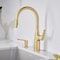 Blanco Rivana Pull-Down 1.5 GPM, Satin Gold 442985 - alternate 4